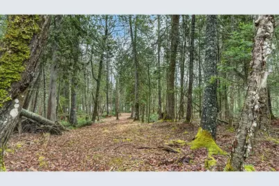 35 Aspen Lane, Steuben, ME 04680 - Photo 19