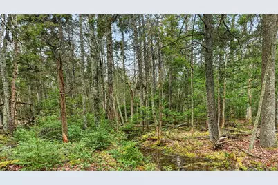 35 Aspen Lane, Steuben, ME 04680 - Photo 25
