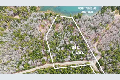 35 Aspen Lane, Steuben, ME 04680 - Photo 3