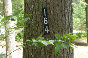 141 Lakewood Rd, Casco, ME 04015 - Photo 37