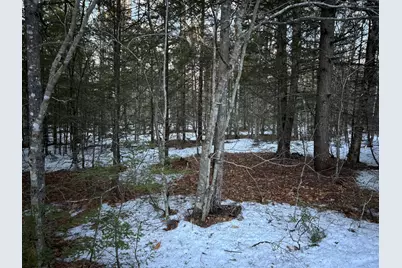 Map13Lot11 Field View Road, Fryeburg, ME 04037 - Photo 5