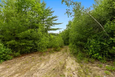 Map13Lot11 Field View Road, Fryeburg, ME 04037 - Photo 49