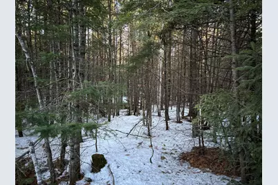 Map13Lot11 Field View Road, Fryeburg, ME 04037 - Photo 39