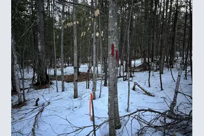 Map13Lot11 Field View Road, Fryeburg, ME 04037 - Photo 31