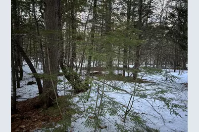 Map13Lot11 Field View Road, Fryeburg, ME 04037 - Photo 45