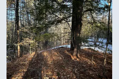 Map13Lot11 Field View Road, Fryeburg, ME 04037 - Photo 27