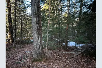 Map13Lot11 Field View Road, Fryeburg, ME 04037 - Photo 29
