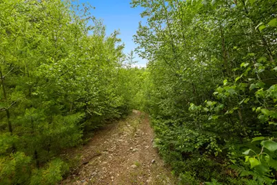 Map13Lot11 Field View Road, Fryeburg, ME 04037 - Photo 7