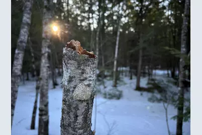 Map13Lot11 Field View Road, Fryeburg, ME 04037 - Photo 37