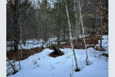 Map13Lot11 Field View Road, Fryeburg, ME 04037 - Photo 47