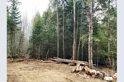 Lot B-2 Pioneer Path, Aurora, ME 04408 - Photo 9