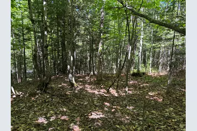 Lot 4 Holley Road, Farmington, ME 04938 - Photo 5