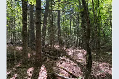 Lot 4 Holley Road, Farmington, ME 04938 - Photo 3