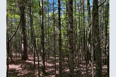 Lot 4 Holley Road, Farmington, ME 04938 - Photo 7
