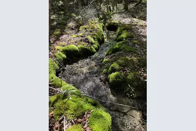 Lot 13 Route 9, Aurora, ME 04428 - Photo 7