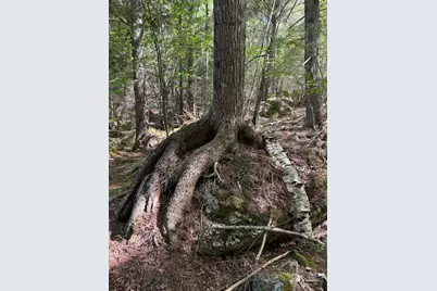 Lot 13 Route 9, Aurora, ME 04428 - Photo 23