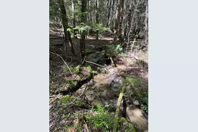 Lot 13 Route 9, Aurora, ME 04428 - Photo 25