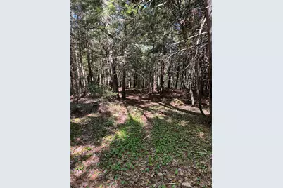 Lot 13 Route 9, Aurora, ME 04428 - Photo 15