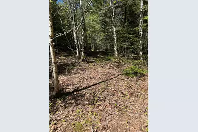 Lot 13 Route 9, Aurora, ME 04428 - Photo 21