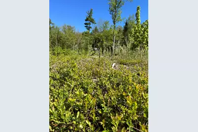 Lot 13 Route 9, Aurora, ME 04428 - Photo 11
