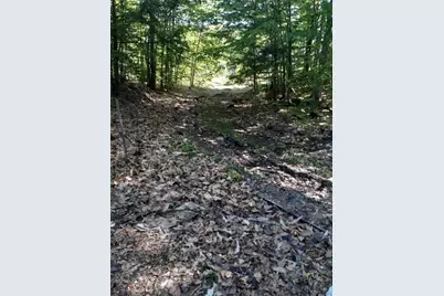 R05-0023 Tripptown Road, Hiram, ME 04041 - Photo 7
