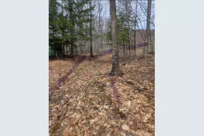 R05-0023 Tripptown Road, Hiram, ME 04041 - Photo 11