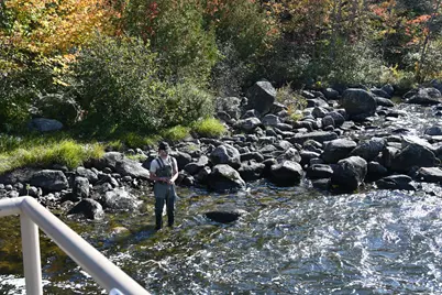 Lot C Middle Dam Rapids, Township C, ME 04216 - Photo 41