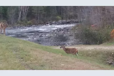 Lot C Middle Dam Rapids, Township C, ME 04216 - Photo 31