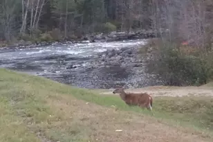 Lot C Middle Dam Rapids, Township C, ME 04216 - Photo 31