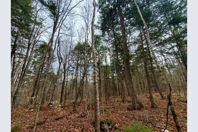 0 Sandy Beach Road, Danforth, ME 04424 - Photo 19