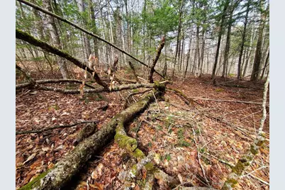 0 Sandy Beach Road, Danforth, ME 04424 - Photo 9