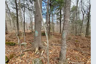 0 Sandy Beach Road, Danforth, ME 04424 - Photo 13