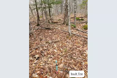 0 Sandy Beach Road, Danforth, ME 04424 - Photo 21
