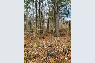 0 Sandy Beach Road, Danforth, ME 04424 - Photo 3