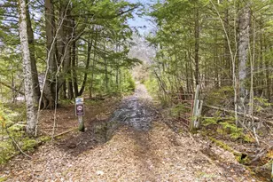 103 Will View Rd, Bethel, ME 04217 - Photo 3