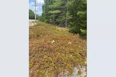0 Route 1 Route, Gouldsboro, ME 04607 - Photo 3