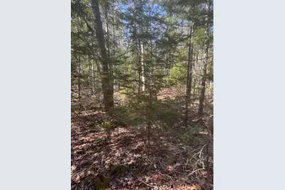0 Route 1 Route, Gouldsboro, ME 04607 - Photo 9