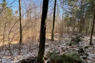 178 Maplecrest Rd, Parsonsfield, ME 04047 - Photo 21