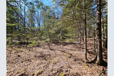 83 Willey District Road, Harrington, ME 04643 - Photo 45