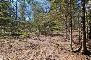 83 Willey District Rd, Harrington, ME 04643 - Photo 45