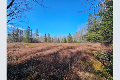 83 Willey District Road, Harrington, ME 04643 - Photo 55