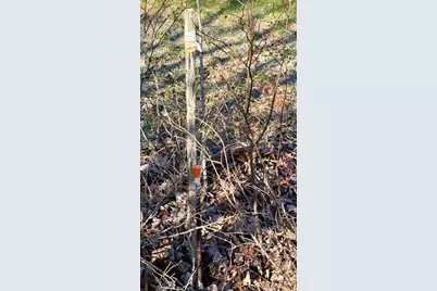 Lot # Tbd Shaw Hill Road, Hampden, ME 04444 - Photo 11