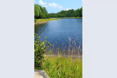 217 Frost Mill Road, Mariaville, ME 04605 - Photo 27