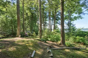 535 Green Lake Rd, Dedham, ME 04429 - Photo 107
