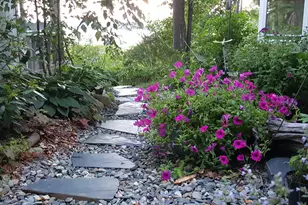 535 Green Lake Rd, Dedham, ME 04429 - Photo 73