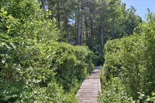 535 Green Lake Rd, Dedham, ME 04429 - Photo 119