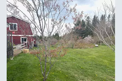 99 Little Machias Road, Cutler, ME 04626 - Photo 13