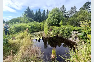 99 Little Machias Road, Cutler, ME 04626 - Photo 9