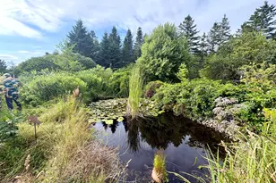 99 Little Machias Rd, Cutler, ME 04626 - Photo 9