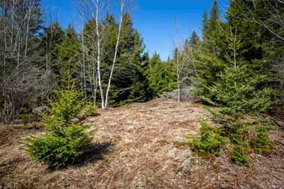 Lot C Lang Road, Saint George, ME 04860 - Photo 13
